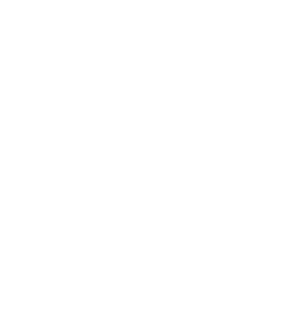 LIVEPIXELZ, Pushing it live